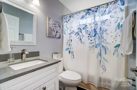 Bath - 12751 Hill Pine Rd, Midland, NC 28107 photo 5 of 5