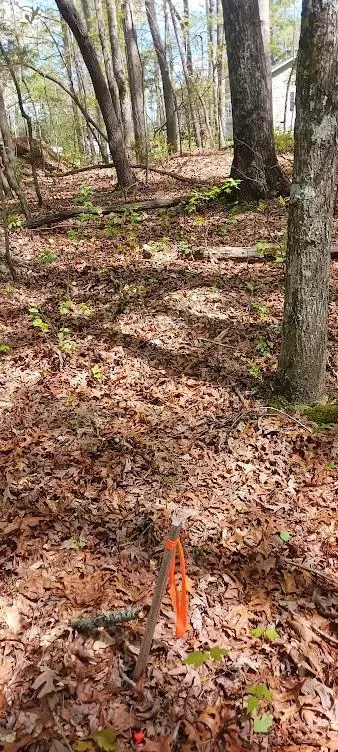 411 Shannon Loop, Denver, NC 28037 photo 8