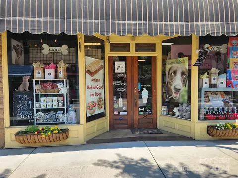 10 Wright Ave, York, SC 29745 photo 39