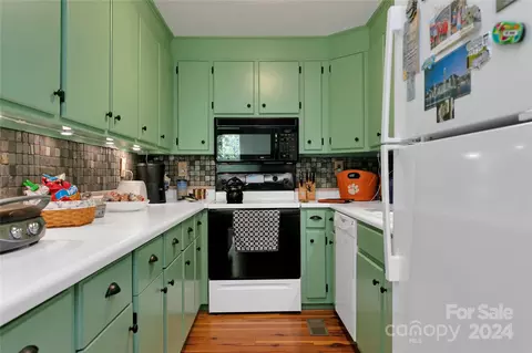 50 Summer Rd, Cedar Mountain, NC 28718 photo 28