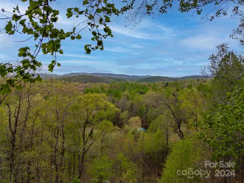 View/Area - 535 Glen Echo Cir, Saluda, NC 28773 photo 2 of 7