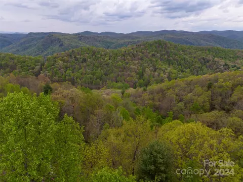 View/Area - 535 Glen Echo Cir, Saluda, NC 28773 photo 5 of 7