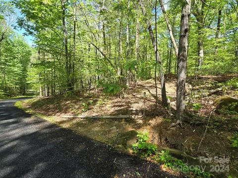 0 Red Wing 145 147 Rd #145 & 147, Lake Lure, NC 28746