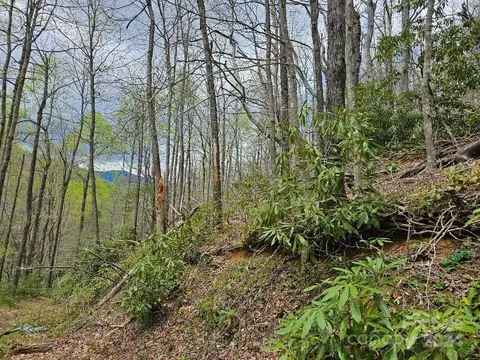 Dovers Branch Road, Burnsville, NC 28714