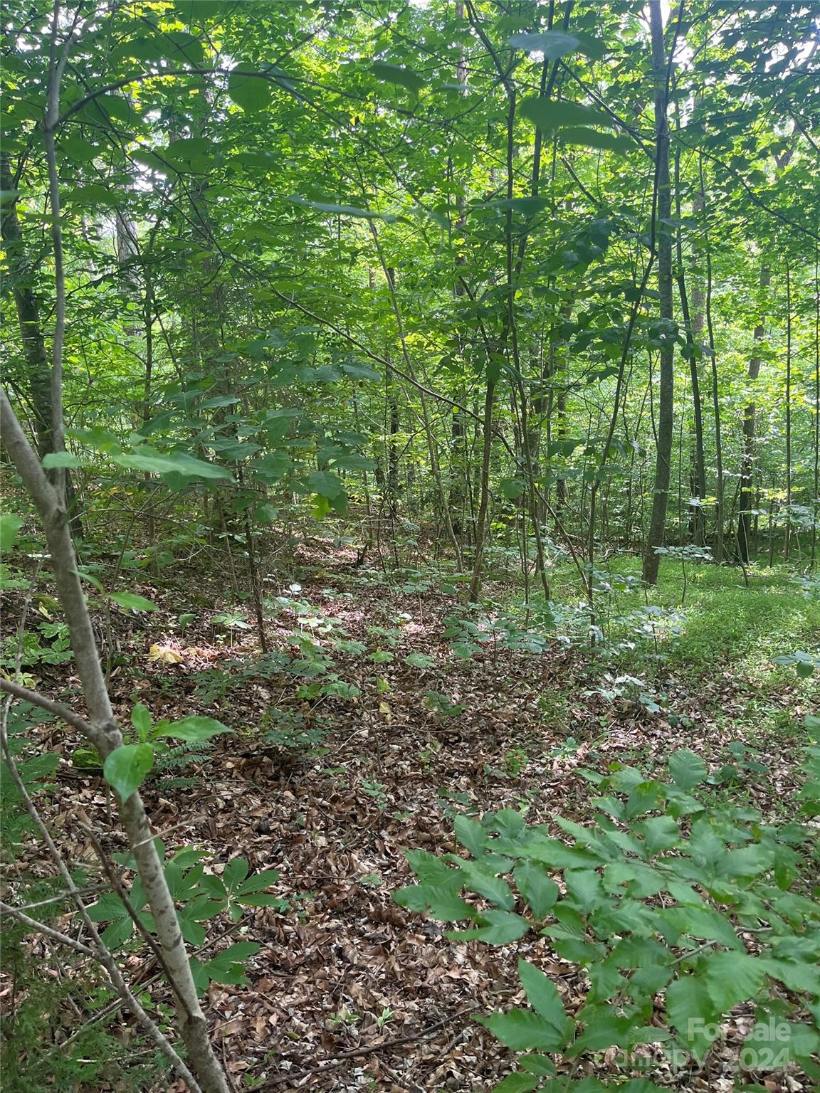 0 Cross Creek 141 Dr Unit 141  