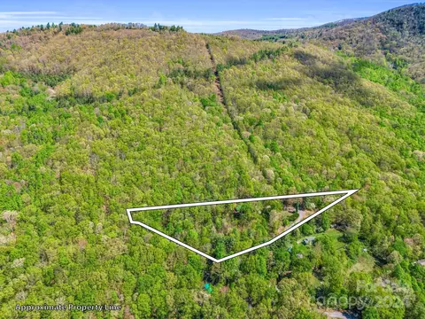 195 Spring Mountain Rd, Fairview, NC 28730 photo 39