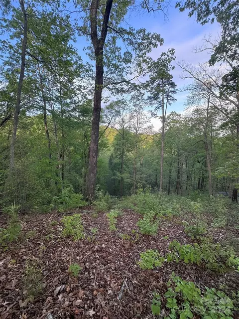0 Willow Top 315 Ln #315, Lake Lure, NC 28746