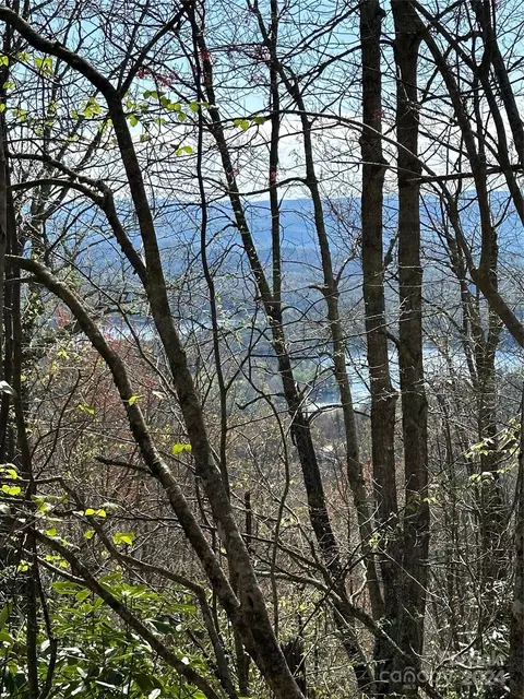 87 Ridge Colony 7a Rev Ln #7A REV, Lake Toxaway, NC 28747