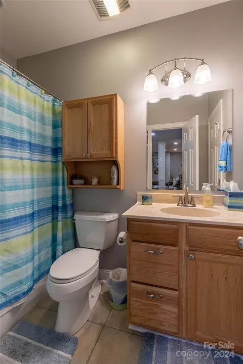 Bath - 341 Dockside Dr, Nebo, NC 28761 photo 4 of 4