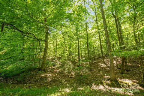 Lake Tillery Road, Albemarle, NC 28001