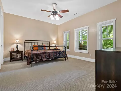 30123 Turtle Point Ct, Lancaster, SC 29720 photo 23