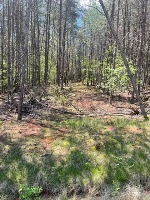 343 Aurora Rdg, Bostic, NC 28018