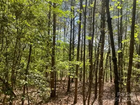 343 Aurora Rdg, Bostic, NC 28018 photo 9
