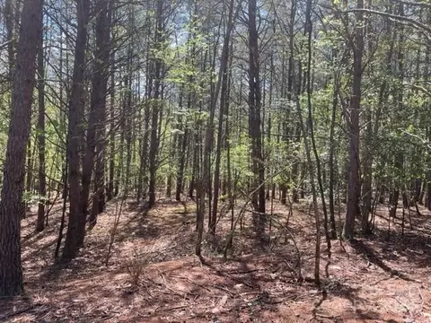 343 Aurora Rdg, Bostic, NC 28018 photo 7