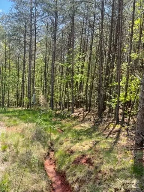 343 Aurora Rdg, Bostic, NC 28018 photo 3