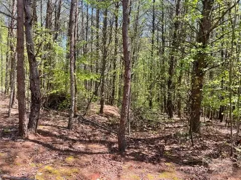 343 Aurora Rdg, Bostic, NC 28018 photo 6