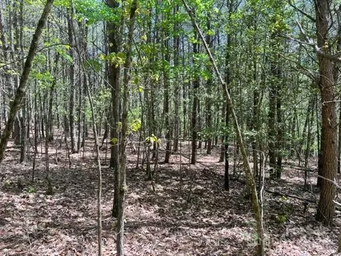 343 Aurora Rdg, Bostic, NC 28018 photo 11
