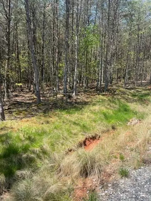 343 Aurora Rdg, Bostic, NC 28018 photo 2