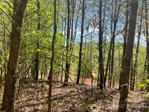 343 Aurora Rdg, Bostic, NC 28018 photo 10