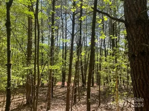 343 Aurora Rdg, Bostic, NC 28018 photo 8