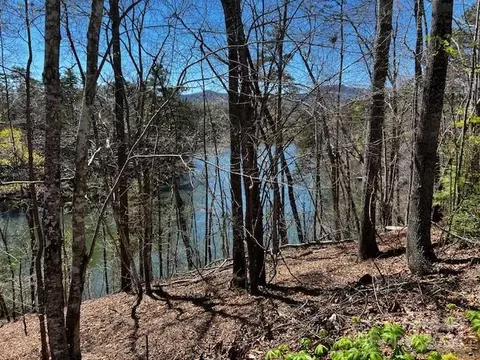Summer Lane, Mill Spring, NC 28756