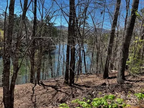 Summer Lane, Mill Spring, NC 28756 photo 3