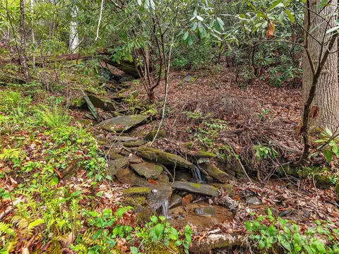 Exterior - 334 Flat Top Mountain Rd, Fairview, NC 28730 photo 10 of 11