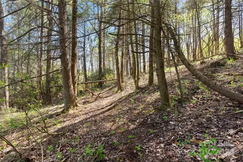 View/Area - 3262 Windswept Ridge Rd, Marshall, NC 28753 photo 1 of 2