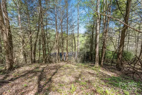 View/Area - 3262 Windswept Ridge Rd, Marshall, NC 28753 photo 2 of 2