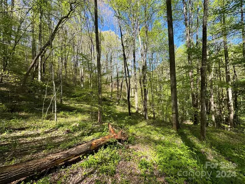 0 E Silvermine Rd, Bryson City, NC 28713