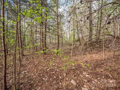 00 Equestrian Dr, Bostic, NC 28018 photo 16
