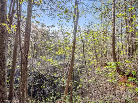 00 Equestrian Dr, Bostic, NC 28018 photo 15