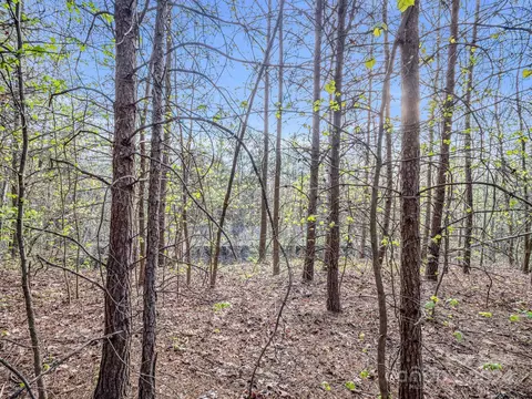 00 Equestrian Dr, Bostic, NC 28018 photo 18