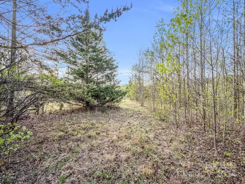 00 Equestrian Dr, Bostic, NC 28018 photo 5
