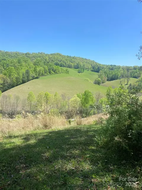 East Fork Road, Marshall, NC 28753 photo 25