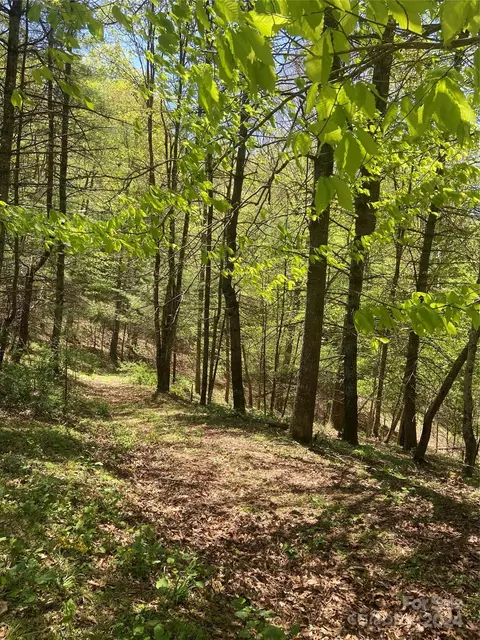 East Fork Road, Marshall, NC 28753 photo 29