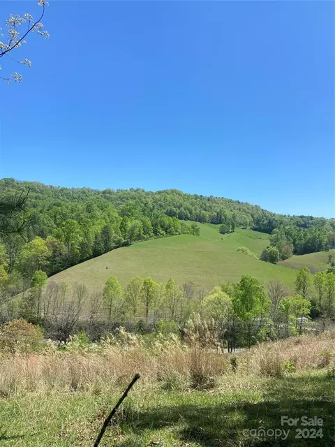 East Fork Road, Marshall, NC 28753 photo 32