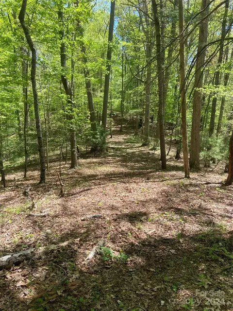East Fork Road, Marshall, NC 28753 photo 27