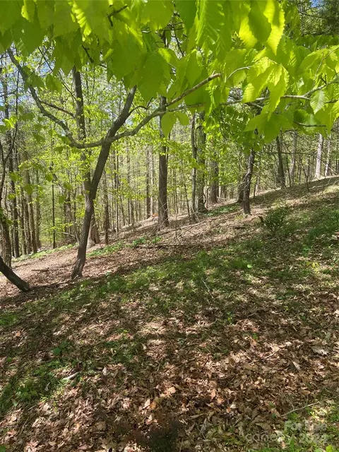 East Fork Road, Marshall, NC 28753 photo 20