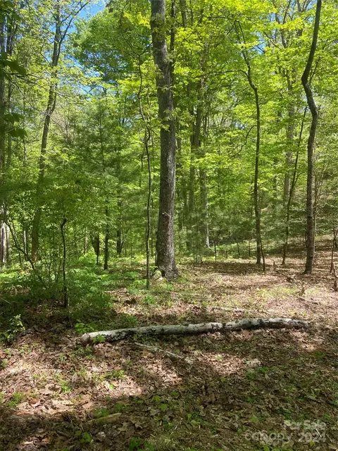 East Fork Road, Marshall, NC 28753 photo 28
