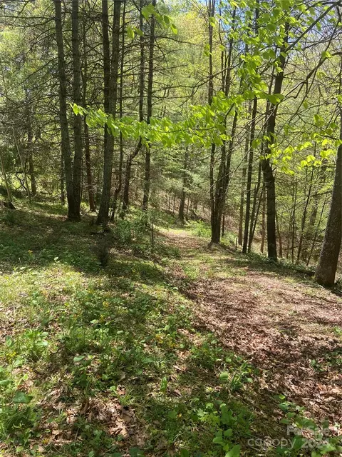 East Fork Road, Marshall, NC 28753 photo 21