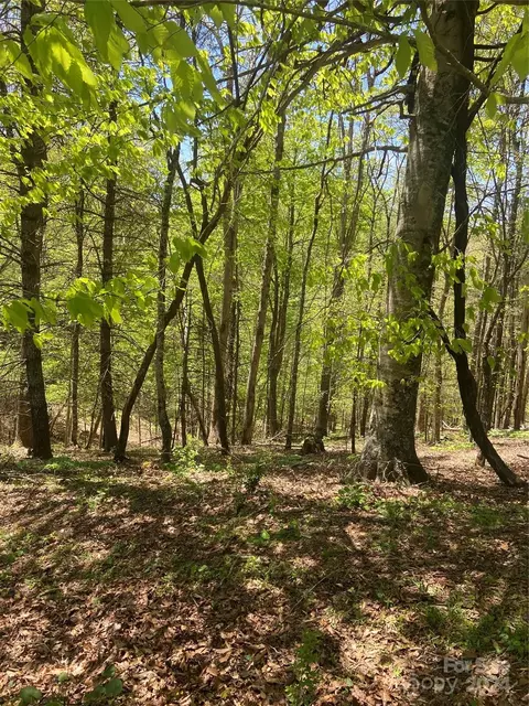 East Fork Road, Marshall, NC 28753 photo 26