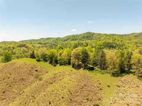 East Fork Road, Marshall, NC 28753 photo 16