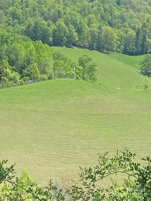 East Fork Road, Marshall, NC 28753 photo 19