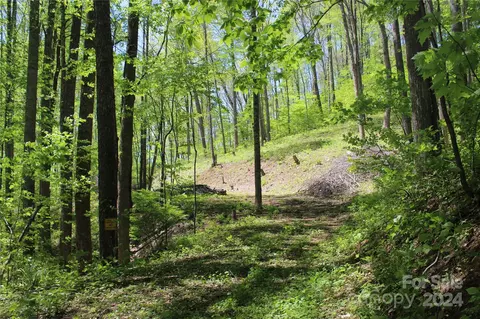 0000 Drifter Ln, Balsam, NC 28779
