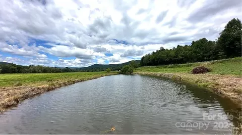 Parsonsville Road, Purlear, NC 28665 photo 8