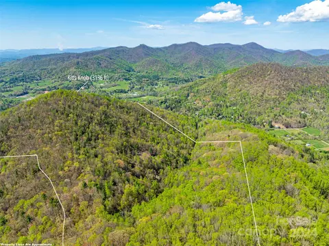 99999 Ox Creek Rd, Weaverville, NC 28787