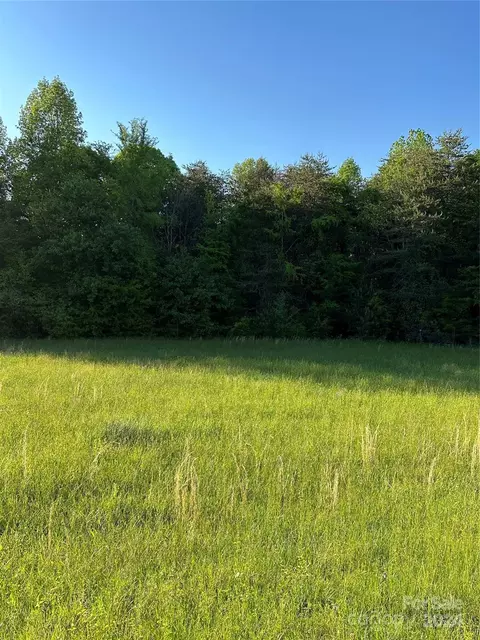 00 Maiden Salem Lot 4 Rd #LOT 4, Lincolnton, NC 28092