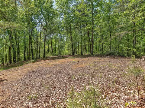 Exterior - Owl Hollow Road, Mill Spring, NC 28756 photo 8 of 11