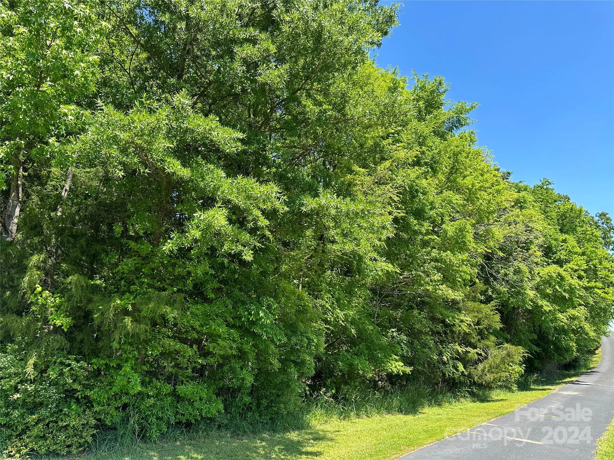 0 FOREST HILLS SCHOOL Rd  